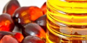Palm Olein Oil