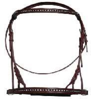 Leather Bridle