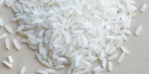 Non Basmati Rice