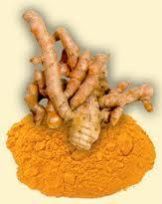 Curcuma Longa
