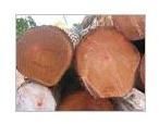 Mahogany Wood Logs