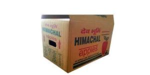 Apple Ready to Eat Packaging