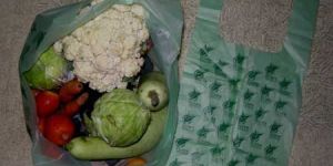 Compostable Carry Bags