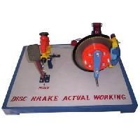 Working Science Educational Models