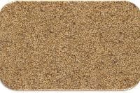 Roasted Natural Sesame Seeds