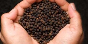 Black Pepper Seeds