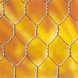 Chicken and Hexagonal Wire Netting Mesh