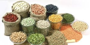 Indian Pulses