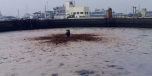 Biological Wastewater Treatment Plants