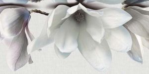 Ceramic Glazed Wall Tiles