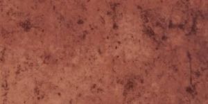 Bikaner Red Rustic Floor Tile