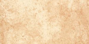 Ceramic Floor Tiles