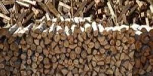 Firewood Logs