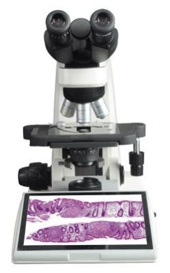 Digital Biological Microscope