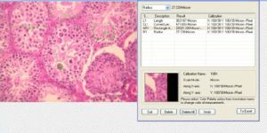 RI Medical Plus Software