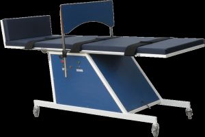 Tilt Table Motorized