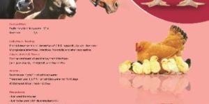 E-MYCIN-50%  (Water soluble powder)