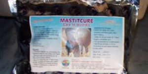 Veterinary Feed Supplement