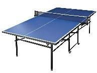 Table Tennis Table
