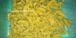 Organic Turmeric Finger