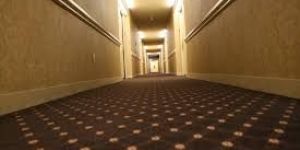 Hotel Carpet