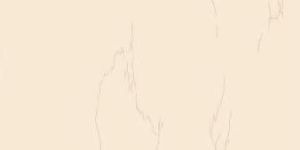 Porcelain Tiles - Item Code : 7862