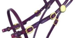 Horse Bridle