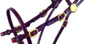 Leather Horse Bridles