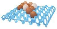 Blue Plain Plastic Egg Trays