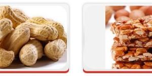 Oil Seeds - Groundnut