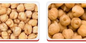 Pulses- Chick Peas