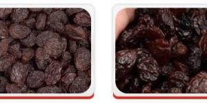 Raisins- Brown Raisins