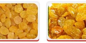 Raisins- Golden Raisins