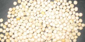 White Dry Peas