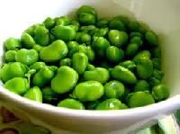 Broad Beans