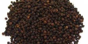Black Pepper