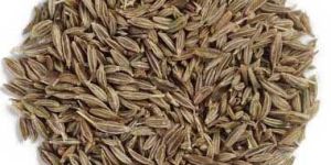 Cumin Seeds