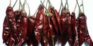 Dried Red Chilli
