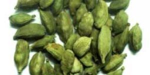 Green Cardamom