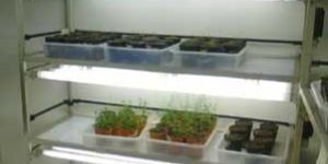 Tissue Culture Caster Rack