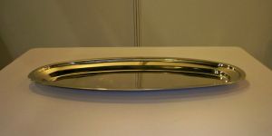 Stainless Steel Fish Tray