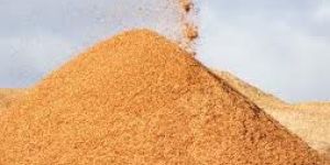 Sawdust, Indian Sawdust