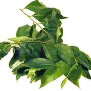 Curry Leaves Powder