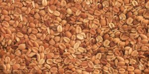 Coriander Dal