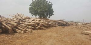Teak Wood Round Logs