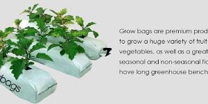 Coir Grow Bags