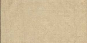 Tassar Silk Fabric 002