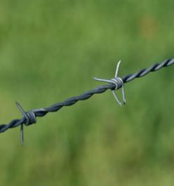 Barb Wire