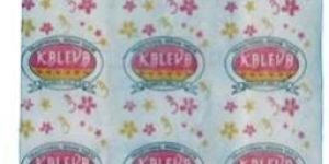 Eco Non Woven Shopping Bag