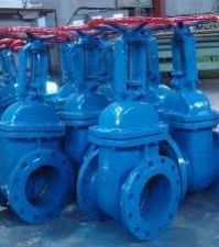Ductile Iron Valves
